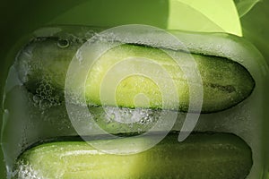 Two halves of frozen cucumber in green plate. Hard sunlight, shadow pattern. Concept of shock freezing of vegetable, raw food,