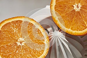 Two halves of an orange on a manual juicer on a white background