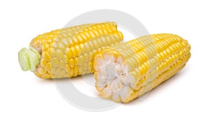 Two halves of ripe sweet corn isolated on white background. Fresh vegetable.