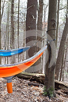Two hammocks tied to a tree