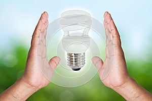 Two hand holding Fluorescent bulb