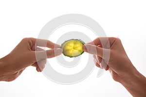 Two hand holding the slice of cucumber on white background