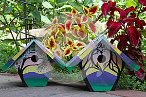 Two Hand-Painted House wren Nest Boxes in the Summer Garden photo