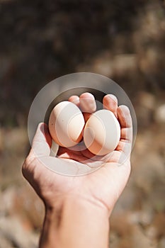 two handed Egg with blurry background