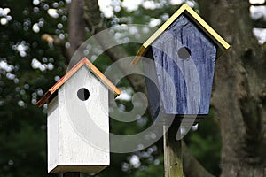 Two Handmade Birdhouses One White One Blue Outdoors