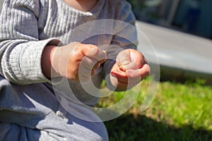 Two hands of child outside in the garden. Playing. Sunny day,