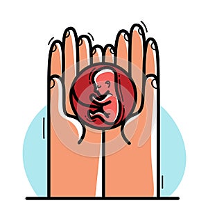Two hands with fetus embryo protecting and showing care vector flat style illustration isolated on white, cherish and defense for