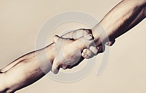 Two hands, helping hand of a friend. Handshake, arms, friendship. Friendly handshake, friends greeting, teamwork