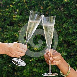 Two hands holding champagne wine glasses and toasting