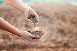 Two hands holding dirt in a field