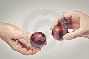 Two hands holding Easter eggs check their strength on a light background