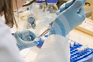 Two hands holding a micropipette and a eppendorf tube in a laboratory with other equipment in the background