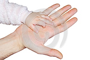 Two hands isolated on white