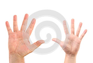 Two hands isolated on white