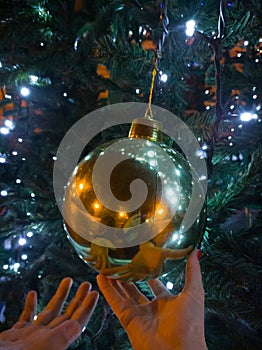 Two hands with large golden Christmas ball on decorated tree
