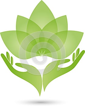 Two hands, leaves, naturopath logo