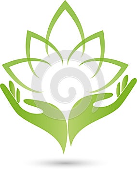 Two hands, leaves, naturopath logo