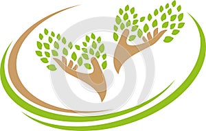 Two hands and leaves, spa and naturopaths logo, Gardener background, spa background, tree background photo