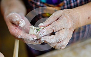 Two Hands Making Chinese Dumpling
