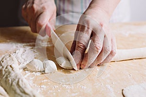 Two hands making dough for meat dumplings.