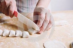 Two hands making dough for meat dumplings.