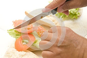 Two hands making a vegetal sandwich photo