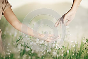 two hands meet to touch each other in a meadow, abstract concept