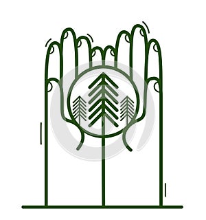 Two hands with pine trees protecting and showing care vector flat style illustration isolated on white, cherish and defense for