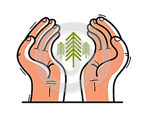 Two hands with pine trees protecting and showing care vector flat style illustration isolated on white, cherish and defense for