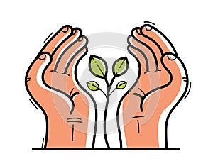 Two hands with small plant protecting and showing care vector flat style illustration isolated on white, cherish and defense for