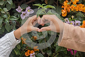 Two hands symbolizing a heart with a background of various plants and flowers.