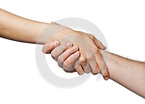 Two hands united in a handshake