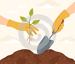 Two hands in yellow rubber gloves with a shovel and a seedling. Planting a sprout in the soil. Vector illustration