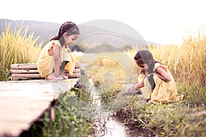 Two happy asian little child girls having fun to play together