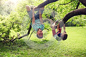 Two happy boys hanging on tree in summer park