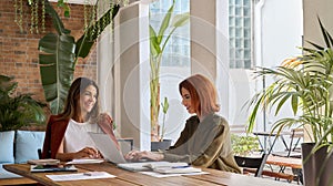 Two happy business women talking using laptop working in green cozy office.