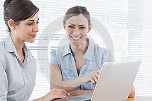 Two happy businesswomen working on laptop together