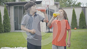Two happy Caucasian boys drinking healthful refreshing juice outdoors. Portrait of siblings or friends enjoying tasty
