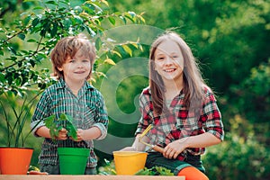 Two Happy children farmers working with spud on spring field. Happy children farmers having fun on spring field. Sister