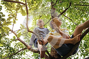 Two happy kids or friends hanging on tree and having fun in summer park. Naughty brothers gripping to oak branches and play in