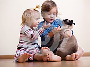 Two happy little girls with cat
