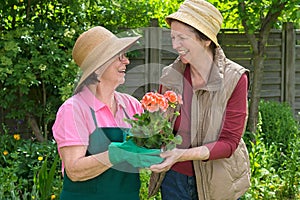 Two happy senior ladies gardening together.