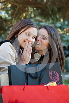 Two Happy Women - girls chatting on shopping trip