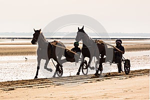 Two harness racing horses trotting on the beach in the morning