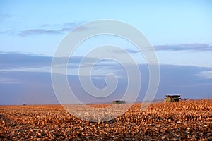 Two harvesters working in a maize field in fall
