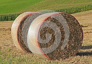 Two hay bales in the field