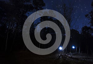 Two headlamps in the forest at night