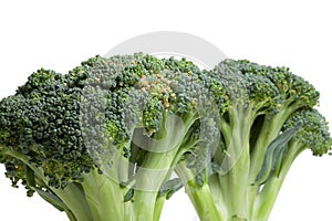 Two heads of broccoli on a white background