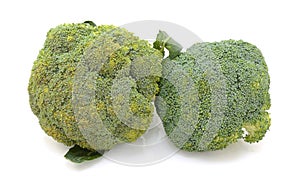 Two heads of calabrese broccoli - spoiling and fresh