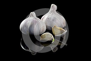 Two heads of garlic and couple of individual cloves on black isolated background with reflection. Close-up, copy space